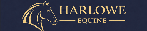 Harlowe Equine